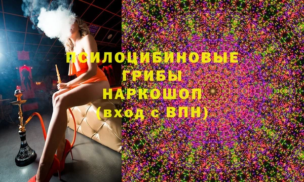 стаф Арсеньев