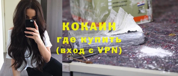стаф Арсеньев