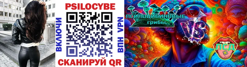 Псилоцибиновые грибы MAGIC MUSHROOMS  наркота  Судак 